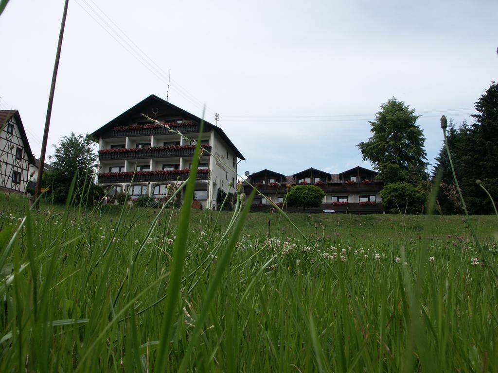 Landgasthof Waldfrieden Hotel Wildensee Екстериор снимка